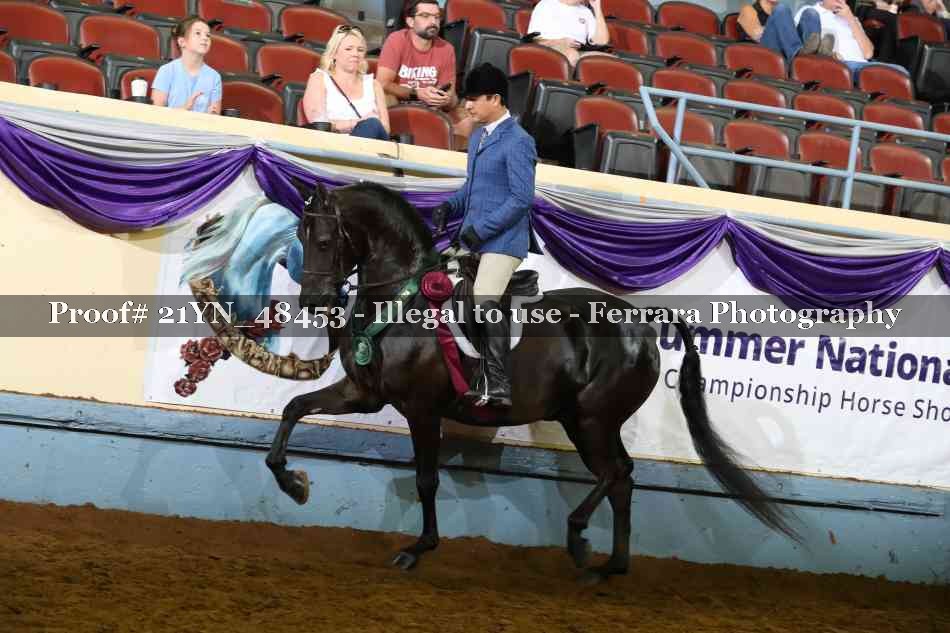 Proof Number 21YN_48453