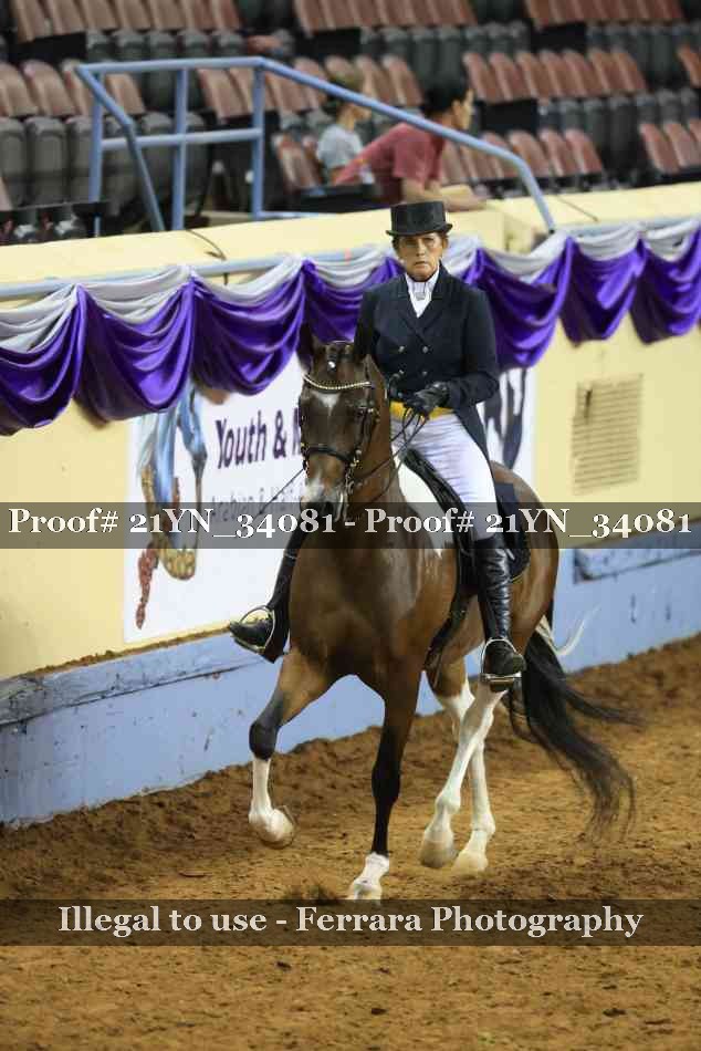 Proof Number 21YN_34081