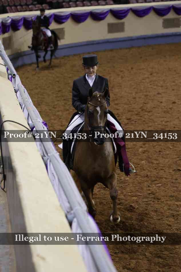 Proof Number 21YN_34153