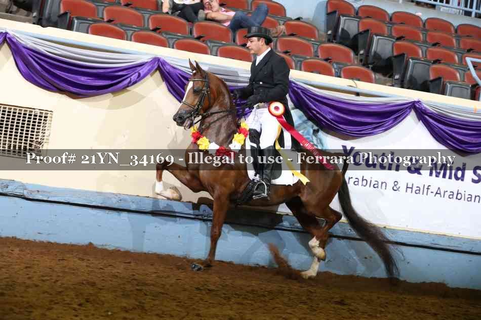 Proof Number 21YN_34169