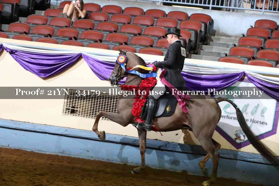 Proof Number 21YN_34179