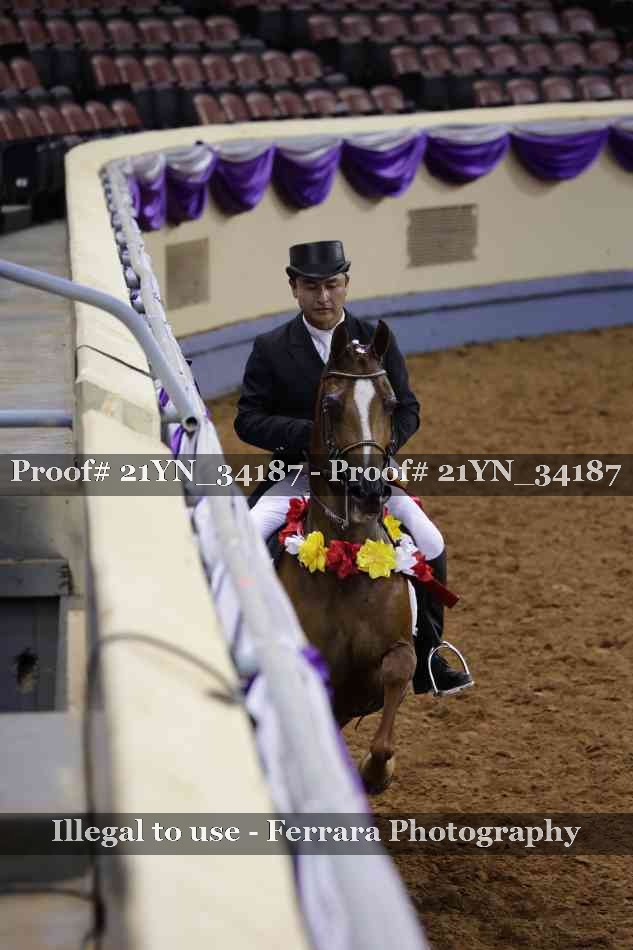 Proof Number 21YN_34187