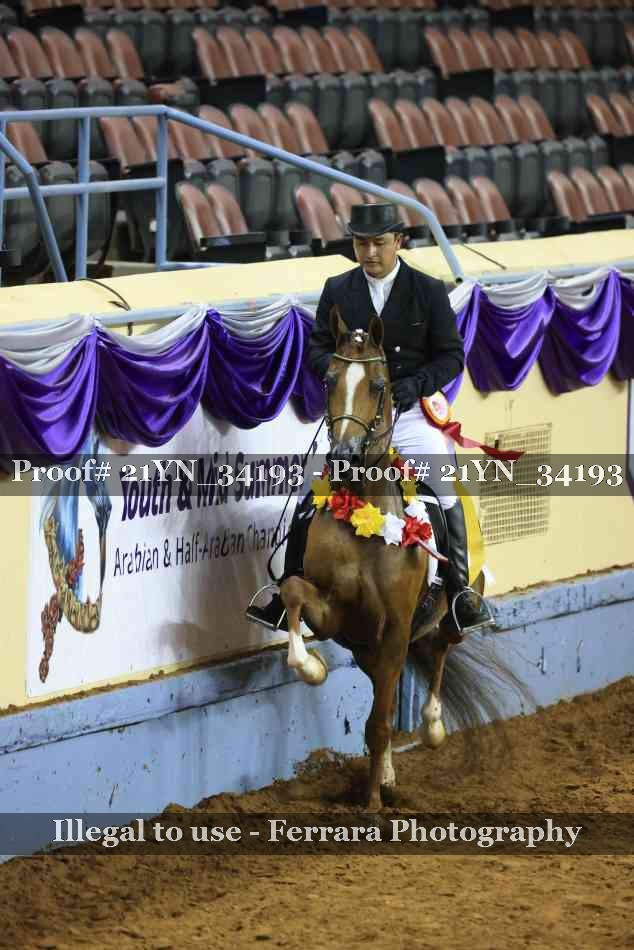 Proof Number 21YN_34193