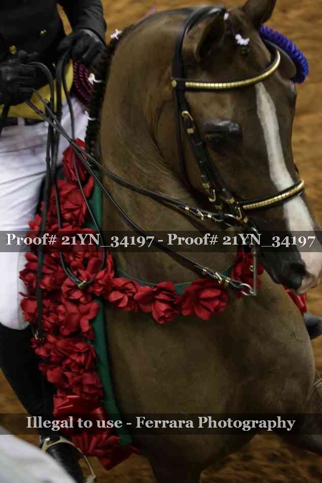 Proof Number 21YN_34197