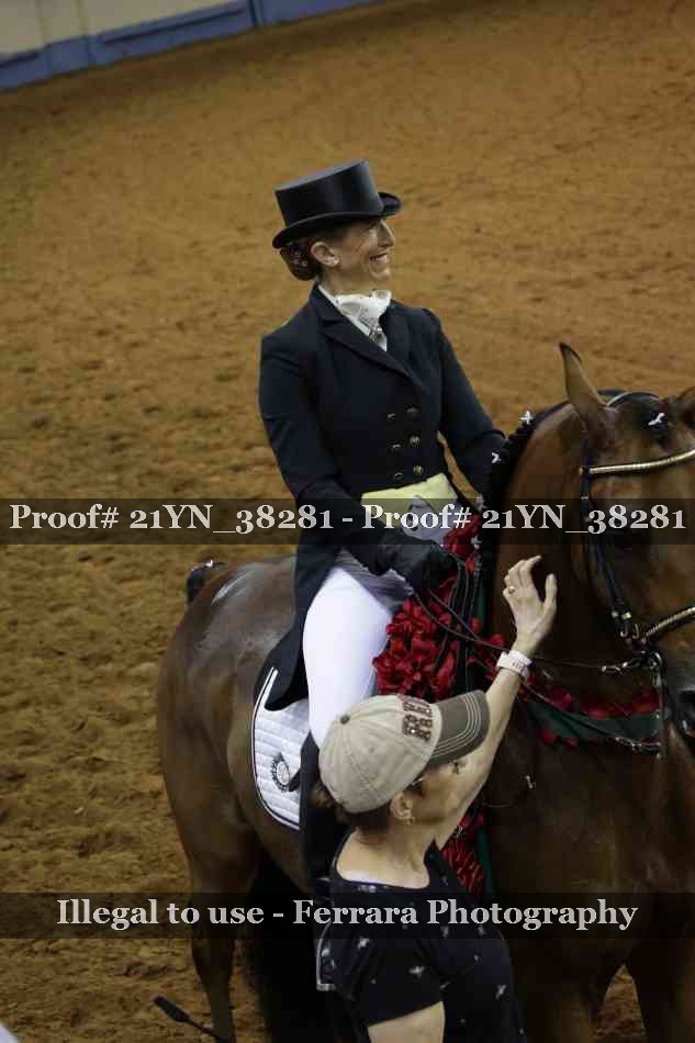 Proof Number 21YN_38281