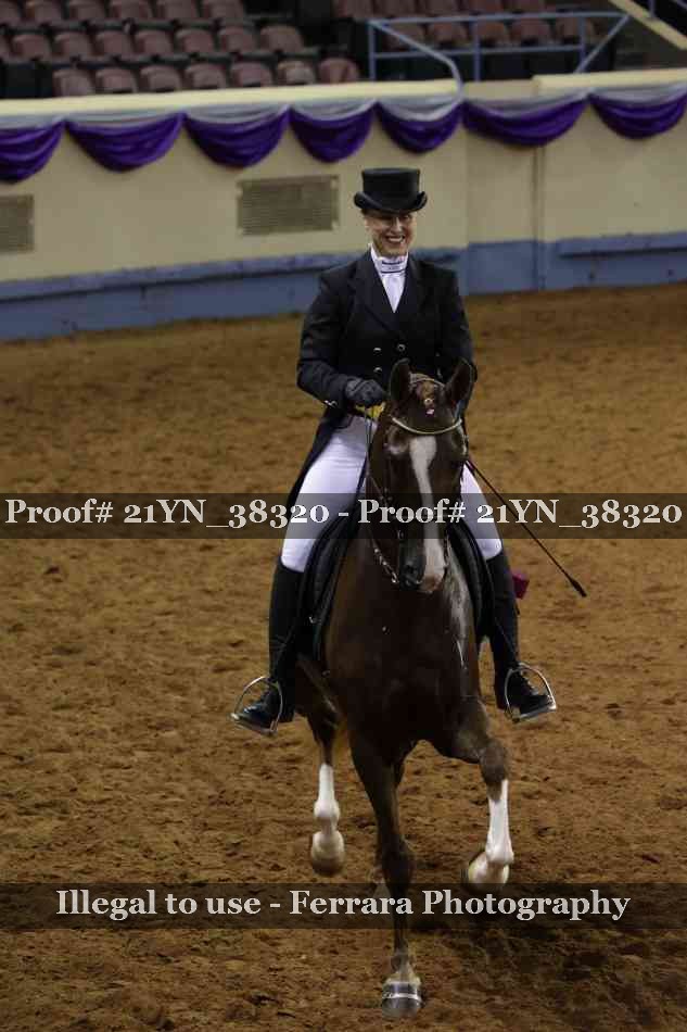Proof Number 21YN_38320