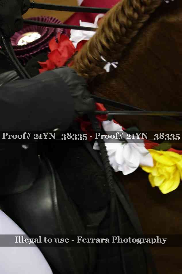 Proof Number 21YN_38335