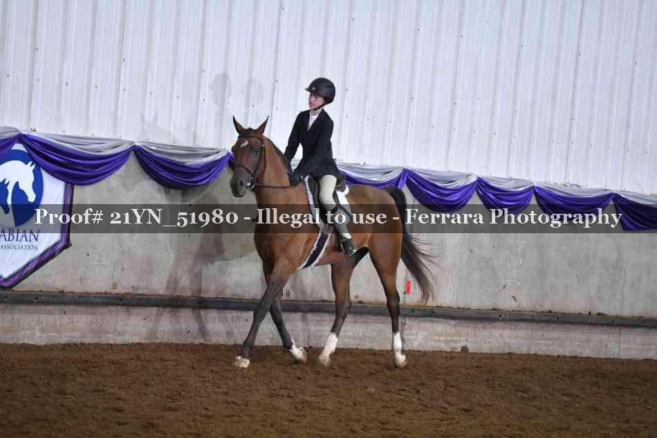 Proof Number 21YN_51980
