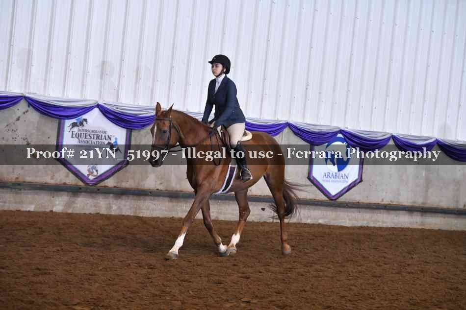 Proof Number 21YN_51997