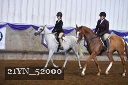 21YN_52000 thumbnail