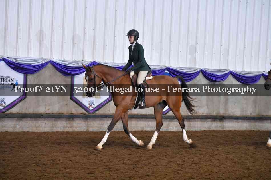 Proof Number 21YN_52001