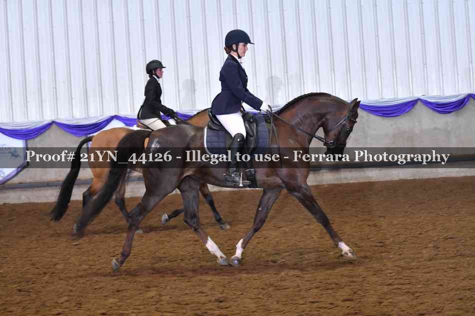 Proof Number 21YN_44126