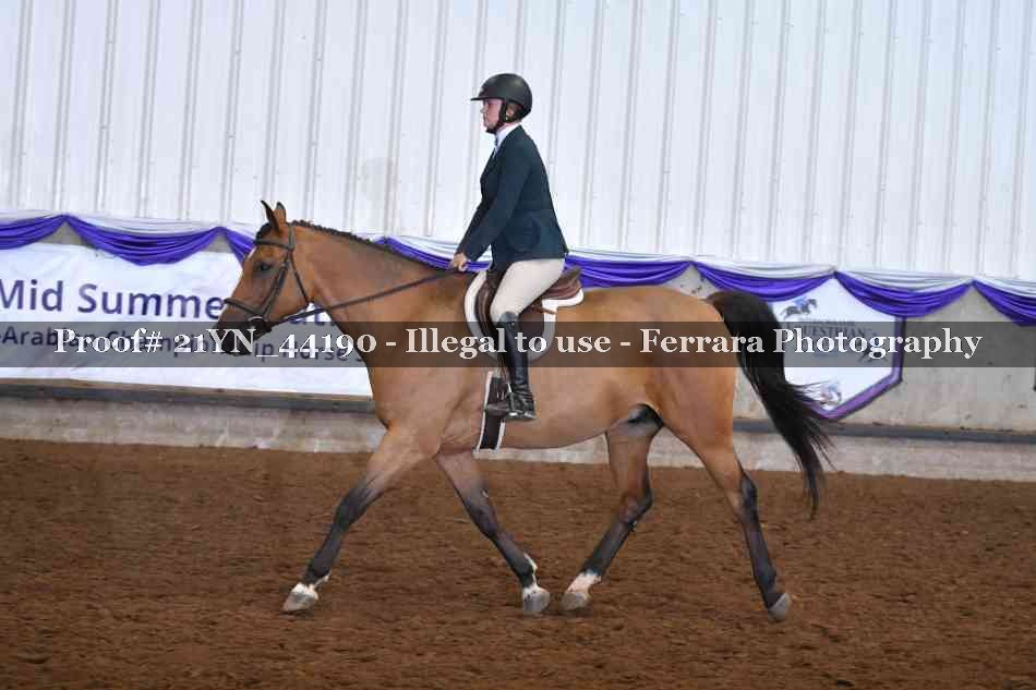 Proof Number 21YN_44190