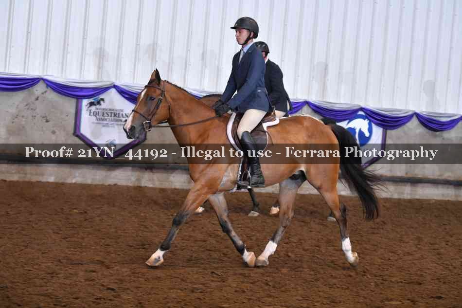Proof Number 21YN_44192