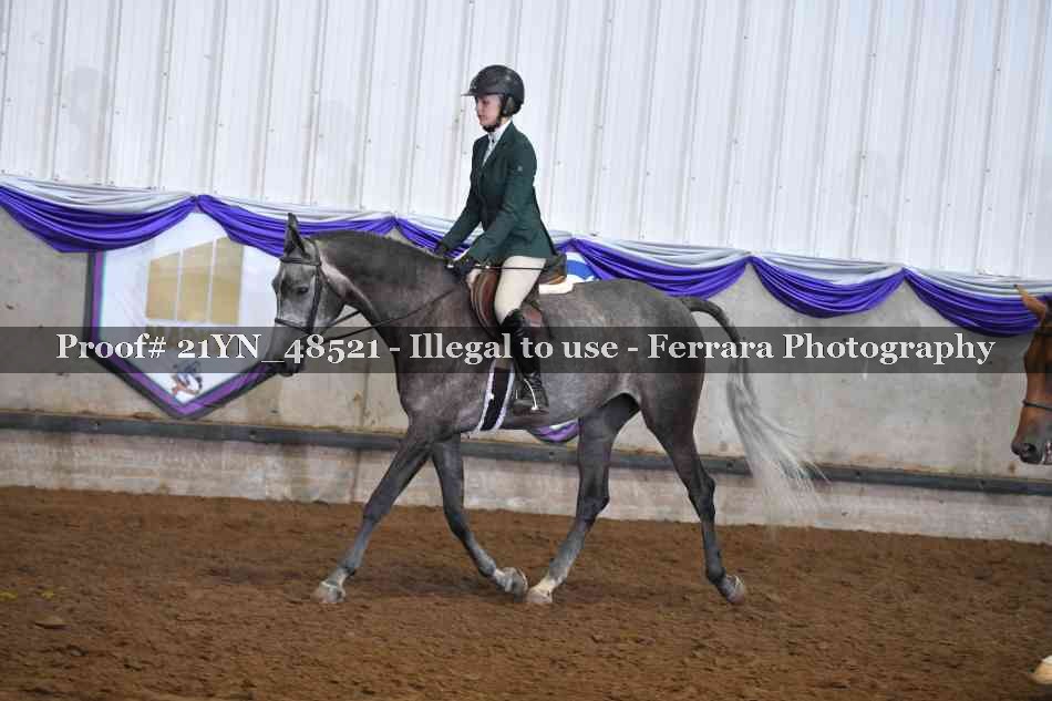 Proof Number 21YN_48521
