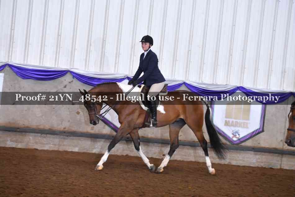 Proof Number 21YN_48542