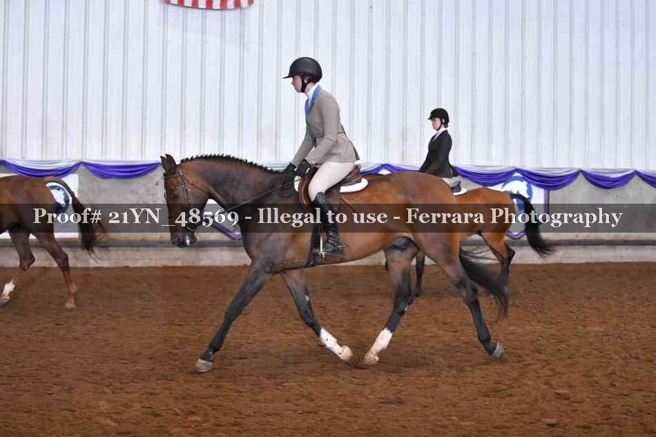 Proof Number 21YN_48569