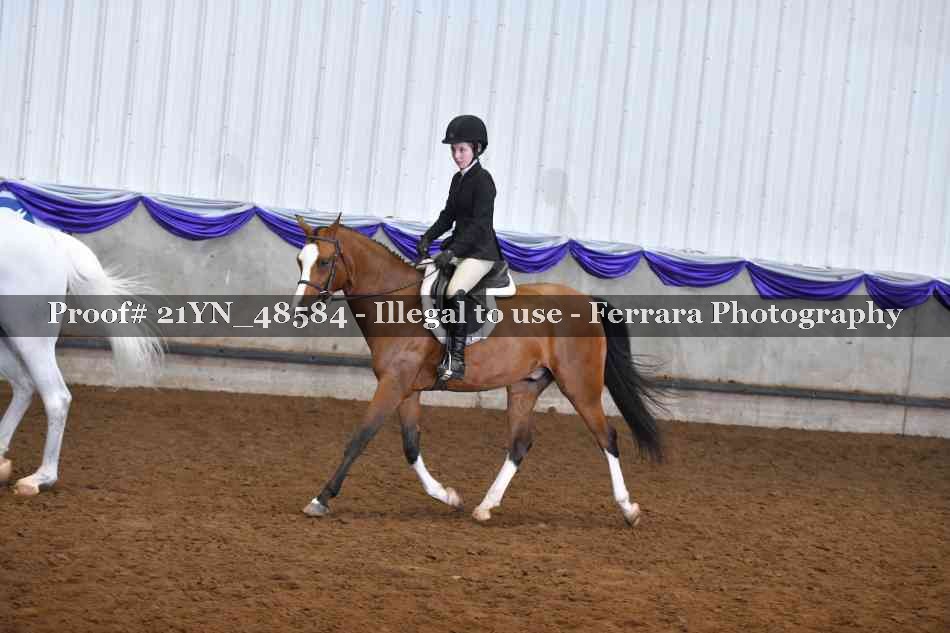 Proof Number 21YN_48584