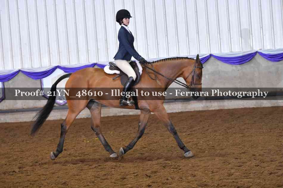 Proof Number 21YN_48610