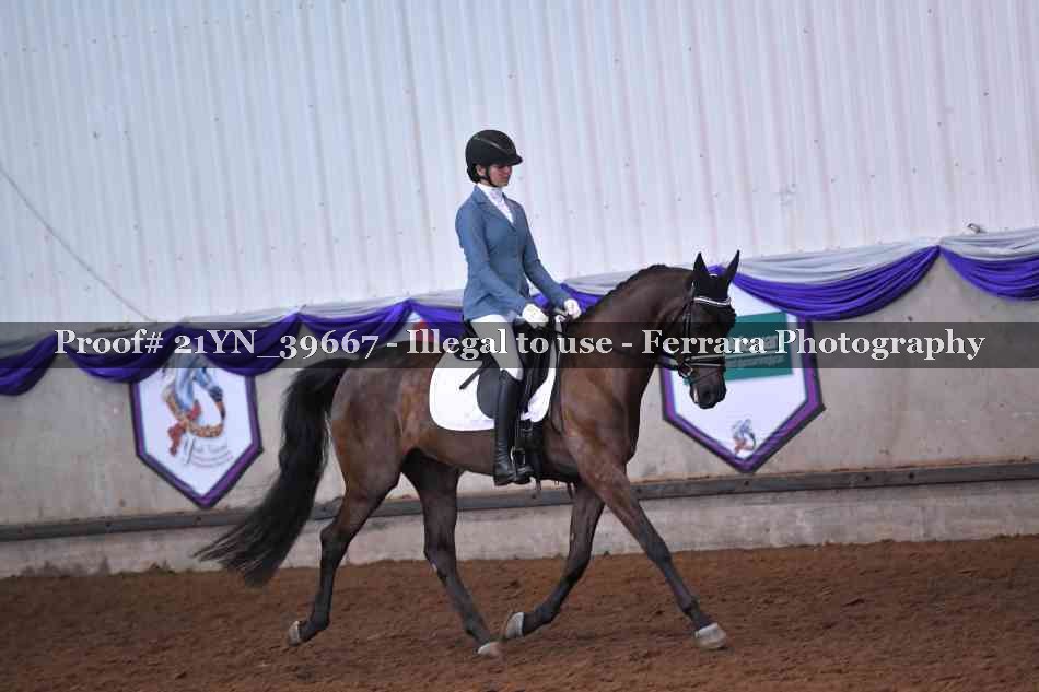 Proof Number 21YN_39667