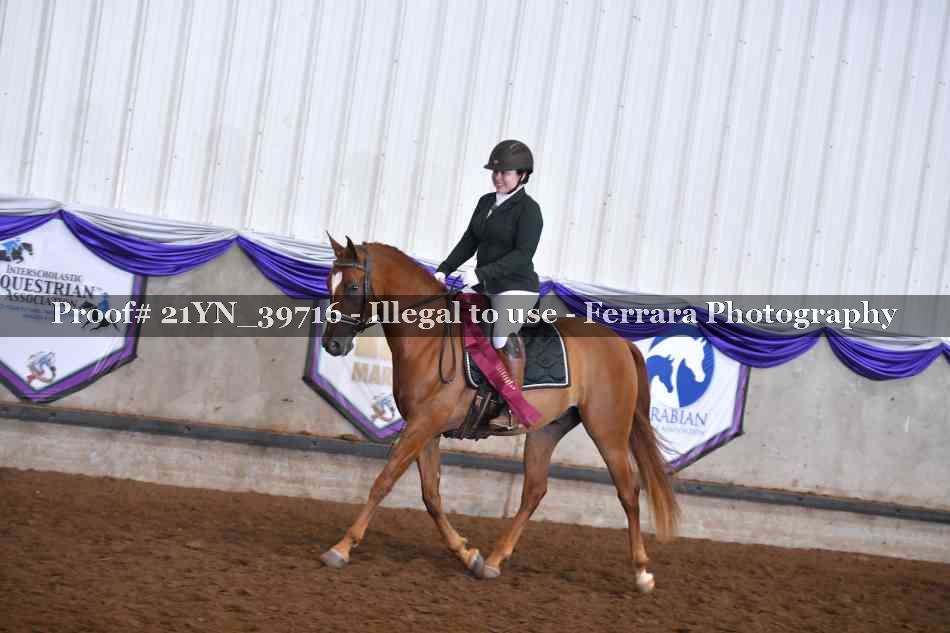Proof Number 21YN_39716