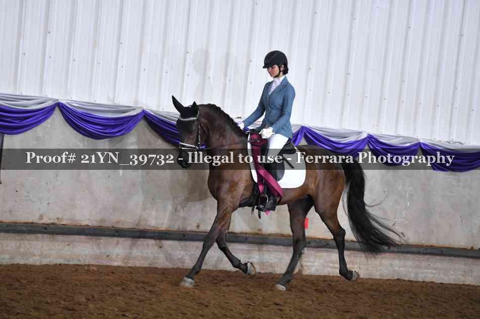 Proof Number 21YN_39732
