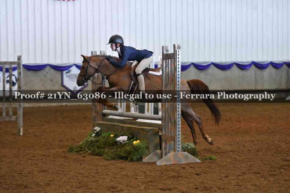 Proof Number 21YN_63086