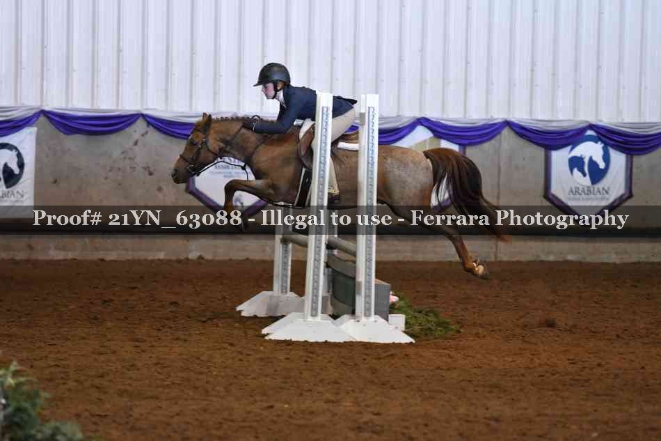 Proof Number 21YN_63088