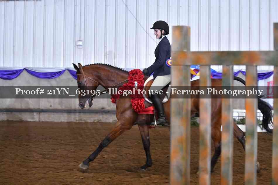 Proof Number 21YN_63195