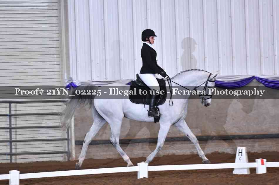 Proof Number 21YN_02225