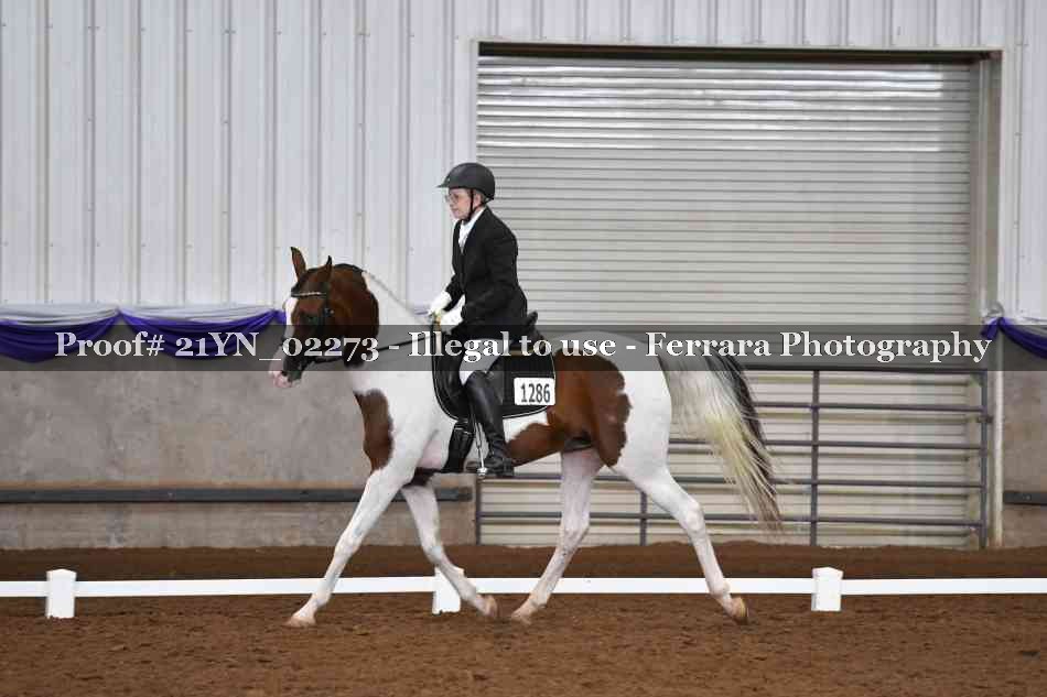 Proof Number 21YN_02273