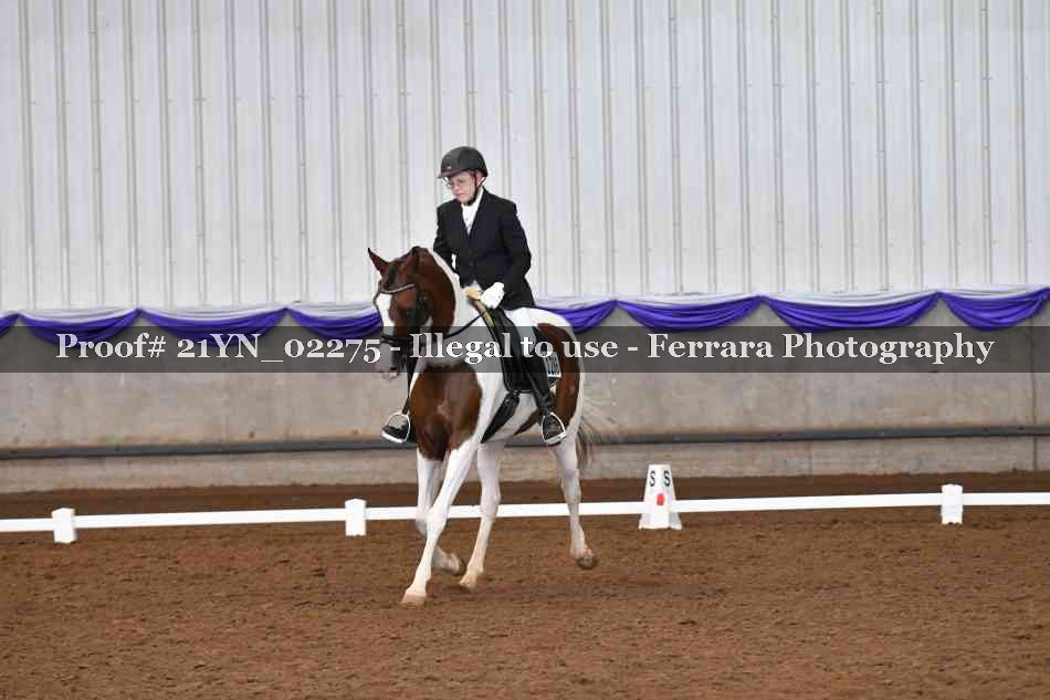 Proof Number 21YN_02275