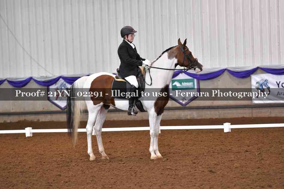 Proof Number 21YN_02291