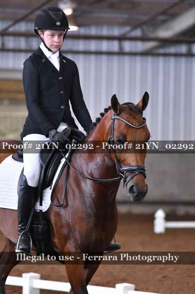Proof Number 21YN_02292