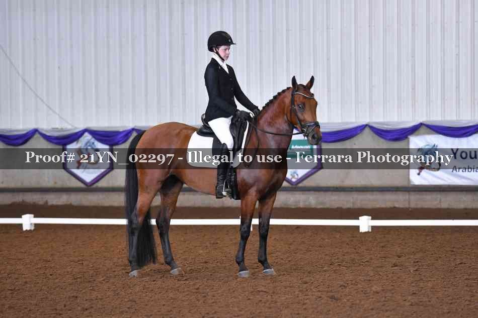 Proof Number 21YN_02297