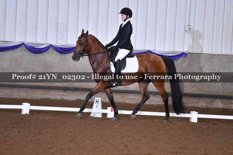 Proof Number 21YN_02302