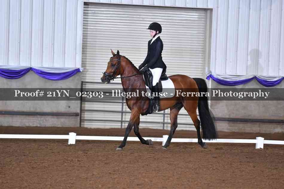 Proof Number 21YN_02303