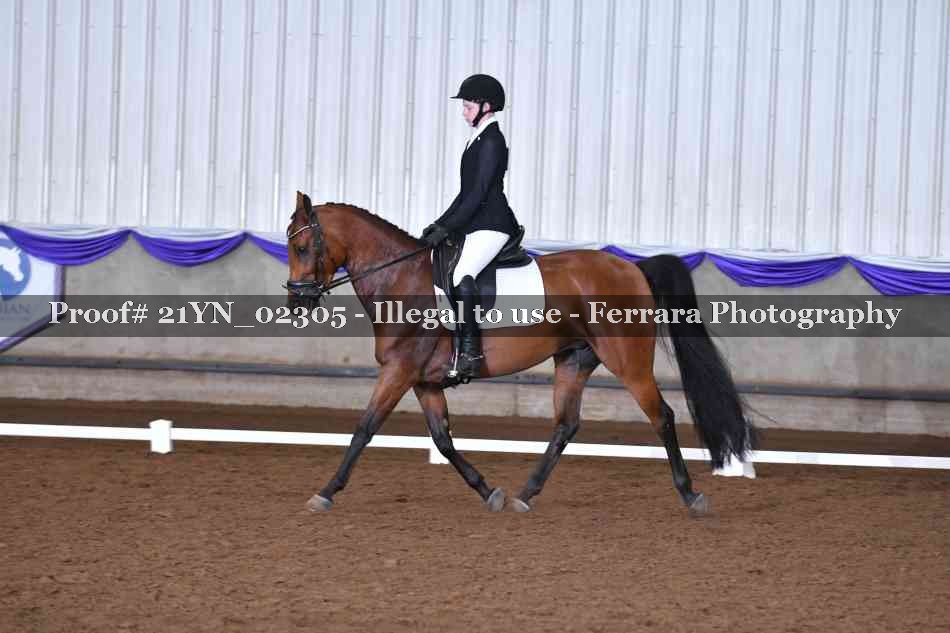 Proof Number 21YN_02305