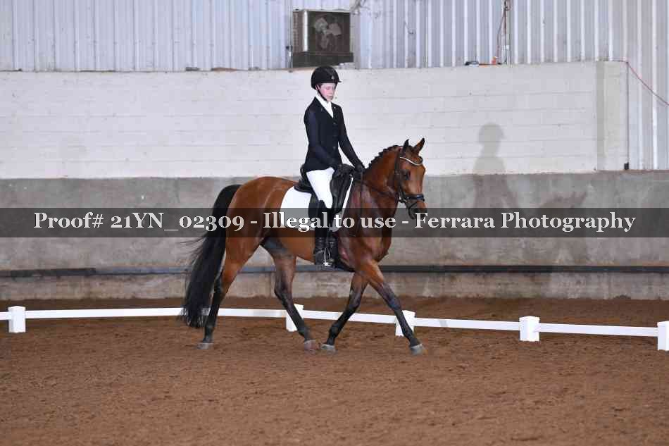 Proof Number 21YN_02309
