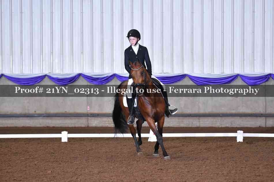 Proof Number 21YN_02313