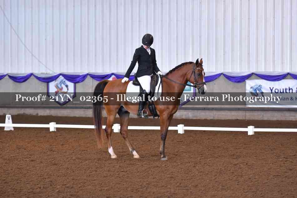 Proof Number 21YN_02365