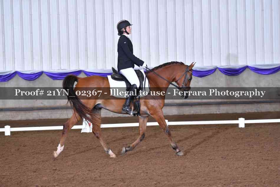 Proof Number 21YN_02367