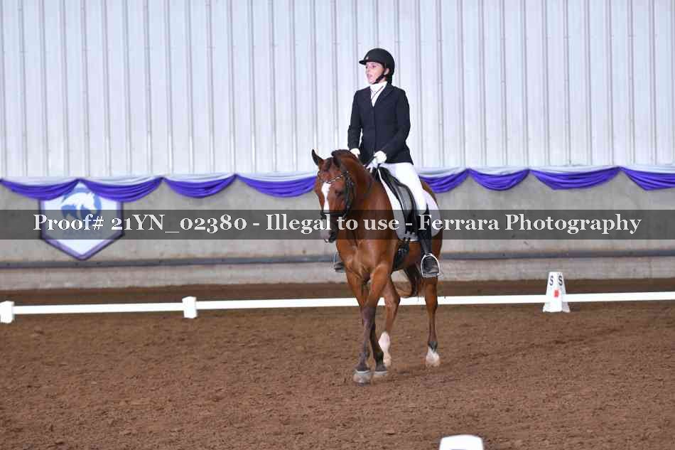 Proof Number 21YN_02380