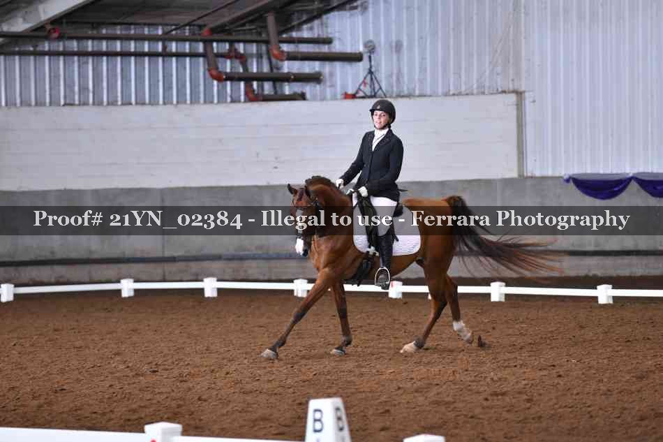 Proof Number 21YN_02384