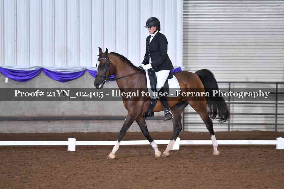 Proof Number 21YN_02405