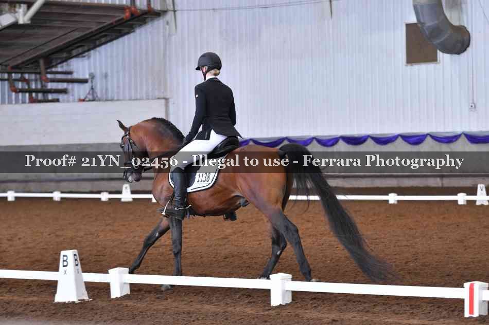 Proof Number 21YN_02456