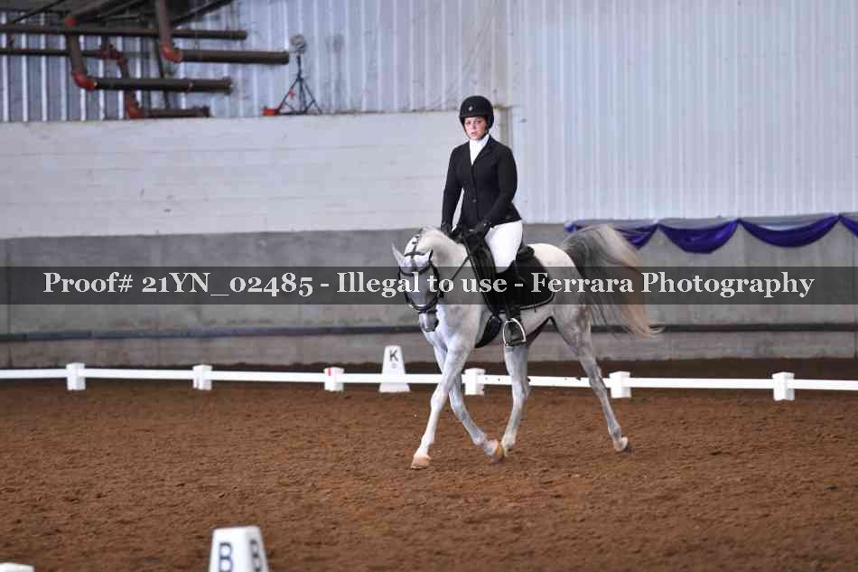 Proof Number 21YN_02485