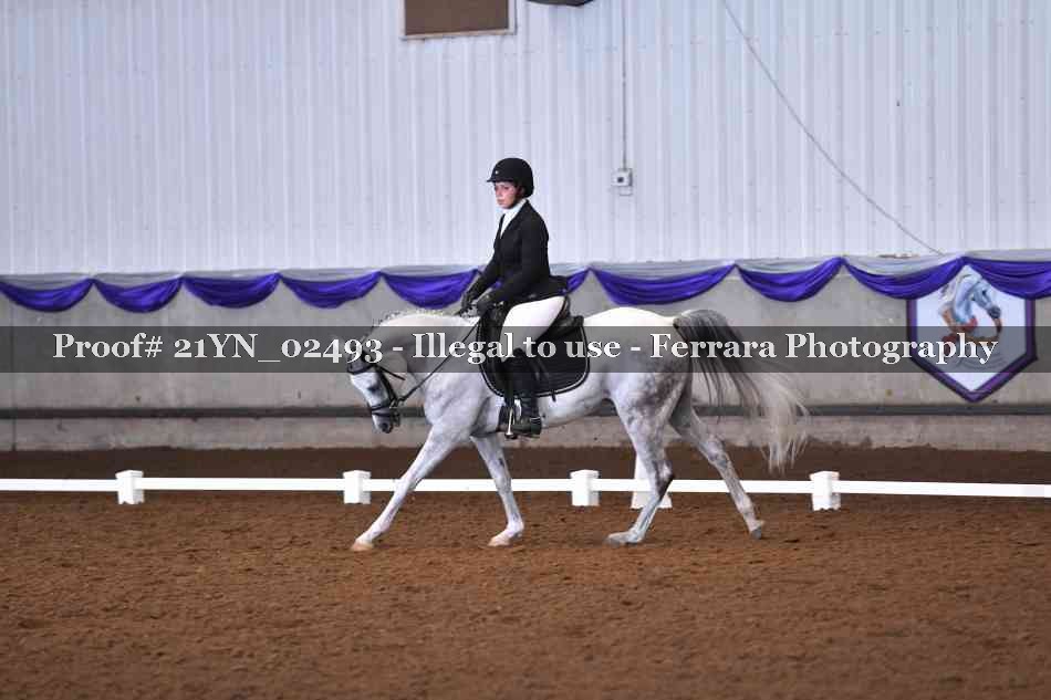 Proof Number 21YN_02493