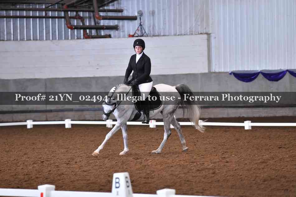 Proof Number 21YN_02494