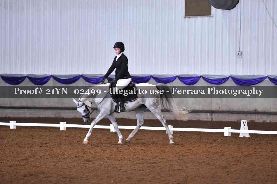 Proof Number 21YN_02499